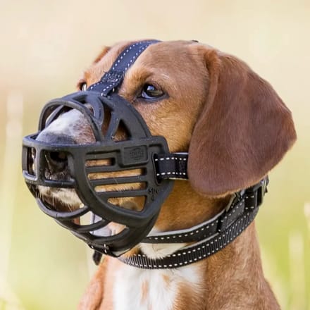 Rubberen muilkorf voor honden Trixie Muzzle Flex