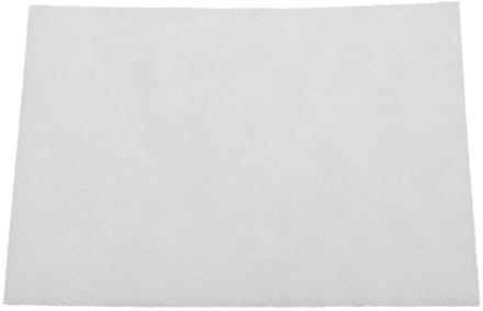 BOSCH - Bionic motorbeschermingsfilter voor stofzuigers - 00425965