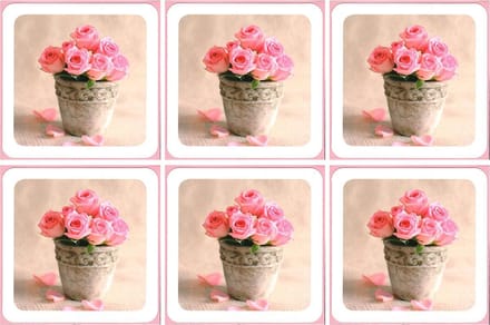 6 Wenskaarten met envelop - Vierkant - Blanco - Bloemen - Gekleurde envelop - 16 x 16 cm