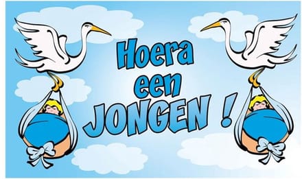 Vlag Hoera een jongen 150 x 90 cm