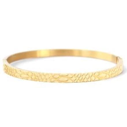 Bangle Snake Goud (RVS)
