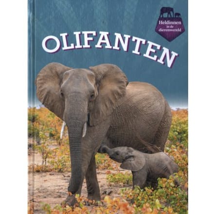 Olifanten - Heldinnen In De Dierenwereld - Maivboon Sang
