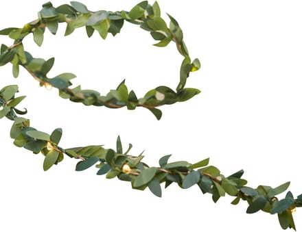 Botanische Decoratie met LED lichtjes - 200 cm