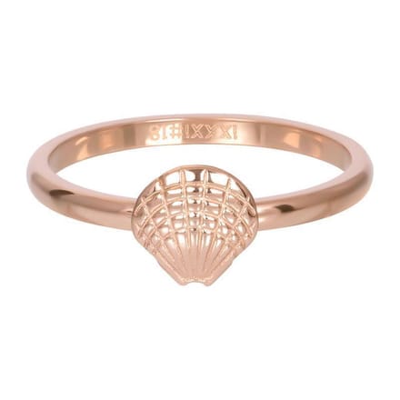 Symbol sea shell - iXXXi - Vulring 2 mm