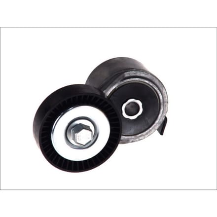 Riemspanner, Poly V-riem DAYCO APV2490