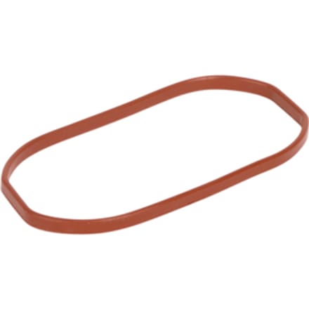 Sealing ring