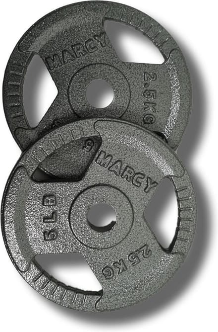 Halterschijven gietijzer set 2,5KG (2 stuks) Totaal: 5kg