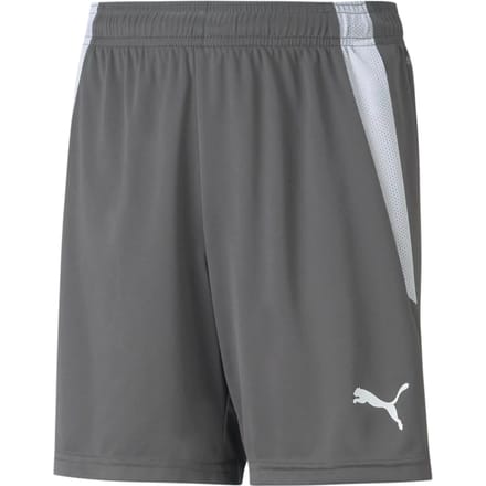 Puma Teamliga Short Kinderen - Grijs | Maat: 128