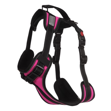 Rukka Harnas Solid, fuchsia M Borstomvang 65,–75 cm Hond