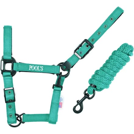 Nylon halster voor paard met leer Pool's