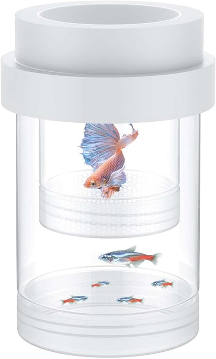 Aquarium viskweekbox van acryl met zuignappen voor optimale isolatie en kweekgemak