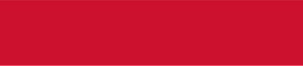 Vlag Brielle 200x300cm