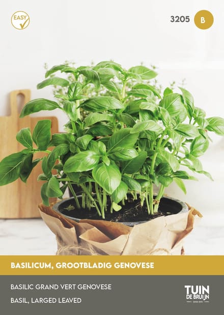 Tuin de Bruijn Basilicum Genovese Zaden - Grootbladig - 4 g