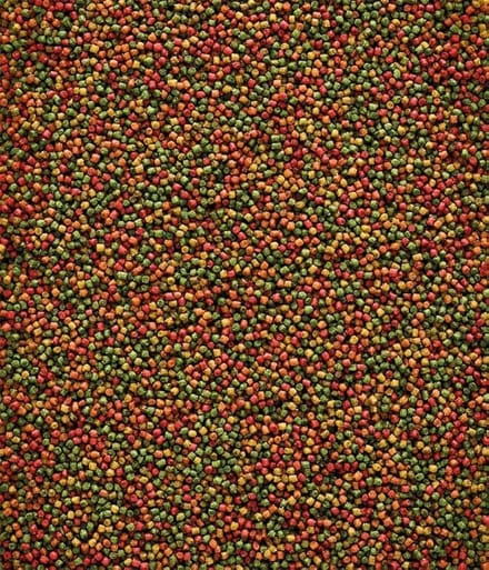 Nutribird C19 kanarie kweekvoer 3 kilo - Nutribird - Vogelvoer - Pellets - Nutribird