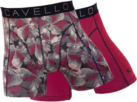 Cavello Heren 2-pack: CB24001 - maat XXL