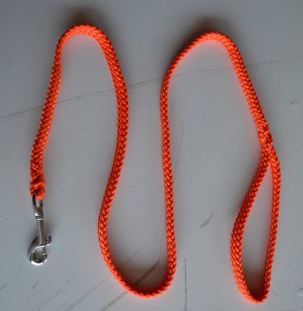 Bianca's Standaard Lijn - Hondenriem - 200 cm - Medium - Oranje