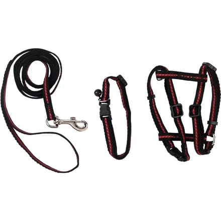 Kattentuig/riem/halsband Kerbl (x1)