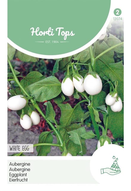 Hortitops zaden - Aubergine White Eggs