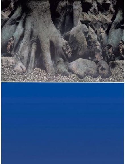Superfish Poster - Aquarium Deco achterwand 4 - Afmeting: 150 x 61 cm