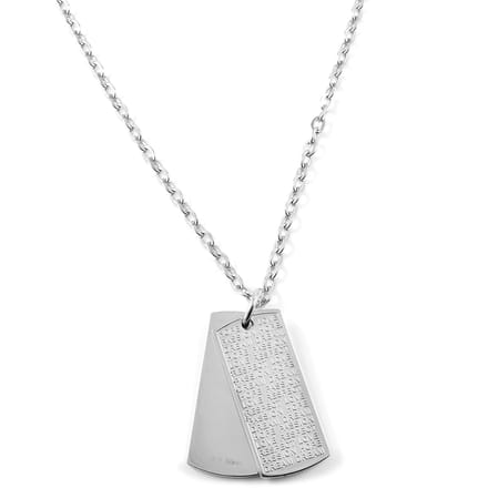 Zilverkleurige Dog Tag