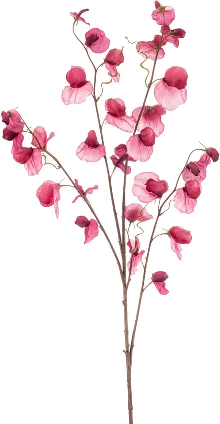 Emerald - Kunstbloem Pronkerwt 110cm fuchsia - Kunstplant voor binnen