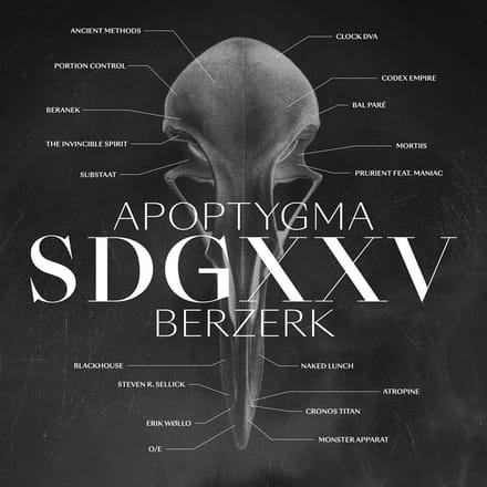 Sdgxxv (2Lp/Clear) (Nor)