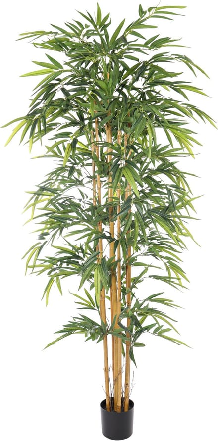 Kunst Bamboe Plant - 220cm - Kunst bamboeplant Deluxe - Hoogwaardige kwaliteit - real touch