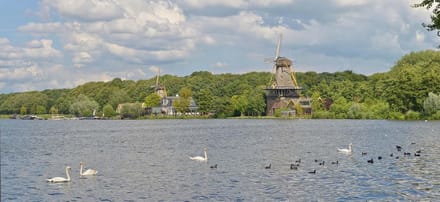 Fotobehang Kralingse Plas Rotterdam 450 x 260 cm - € 295,--