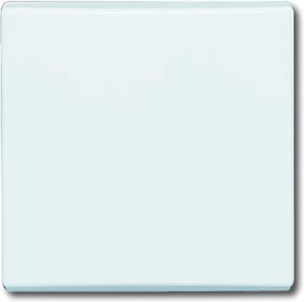 ABB Busch-Jaeger Schakelelement/Centrale Plaat voor Alle weersomstandigheden IP44 - 2CKA001731A1775 - E2AD8