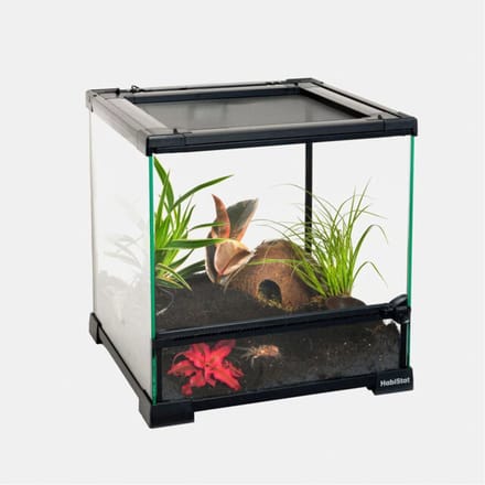 Habistat Glazen Terrarium - Terraria - 30x30x32 cm