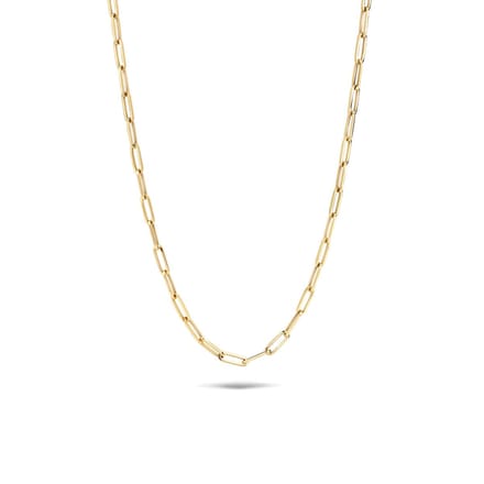 Blush Ketting Dames - Goud - 45 cm - Halsketting Dames Geen bewerking - Collier