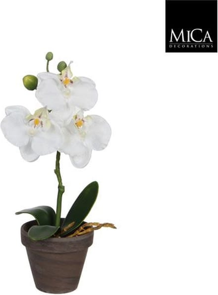 Mica Decorations - Phalaenopsis - Orchidee - Kunstplant in Bloempot Stan - H26 x Ø12 cm - Wit -