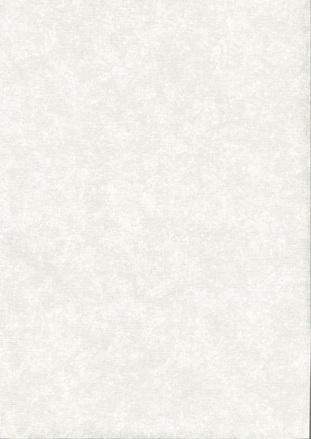 Behang - Etnisch - Vliesbehang - Muurdecoratie - Topchic - 0,53 x 10,05 m.