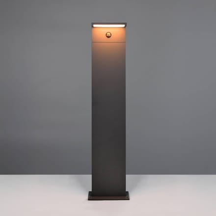 Trio Lighting LED tuinpadverlichting Ravi, antraciet, hoogte 100 cm, sensor, IP54