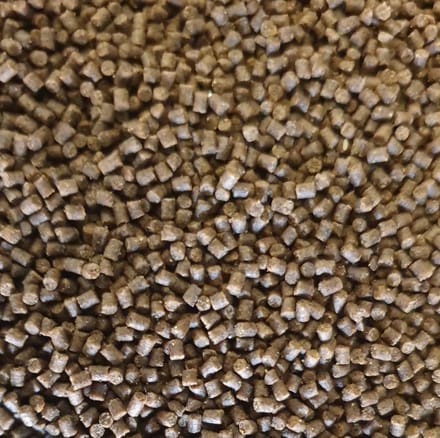 Goudvis korrels zinkend 50 gram
