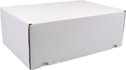 SendProof® Postpakketdoos | golfkarton | 315x215x120mm | gestanst | wit | 25 stuks