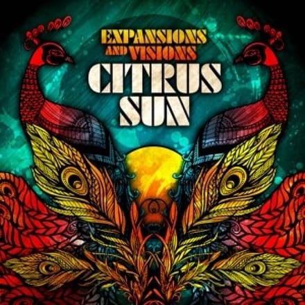 Expansions And Visions - Citrus Sun