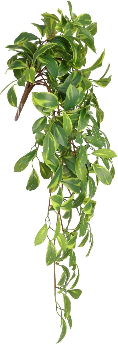 Hoya Carnosa Kunst Hanger 80cm RT