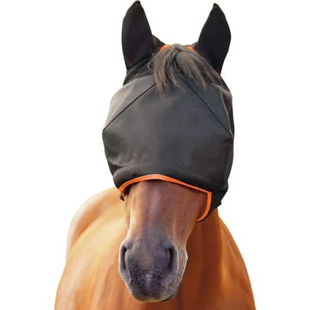 Paardenvliegen hoed Equilibrium Midi