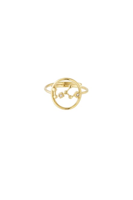 12 zodiac-ringen - Goudkleur