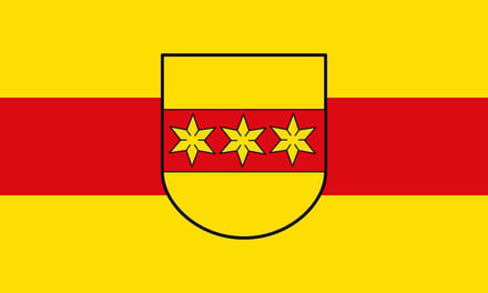 Vlag Rheine 100x150cm