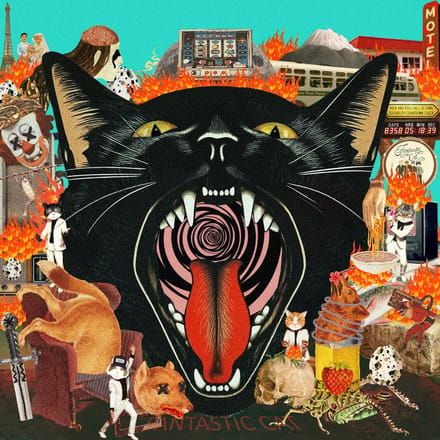 Cat Out of Hell