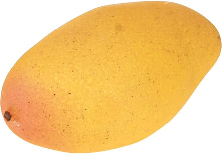 Kunstmatige mango als exotisch decoratief fruit voor in huis