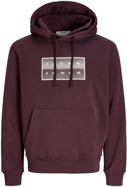 JACK&JONES - JCOFUSION BOX SWEAT HOOD - Jongens - Sweaters