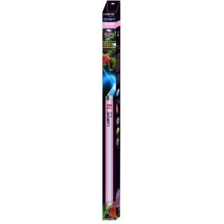 Buis Aquavie Lumivie SP T8