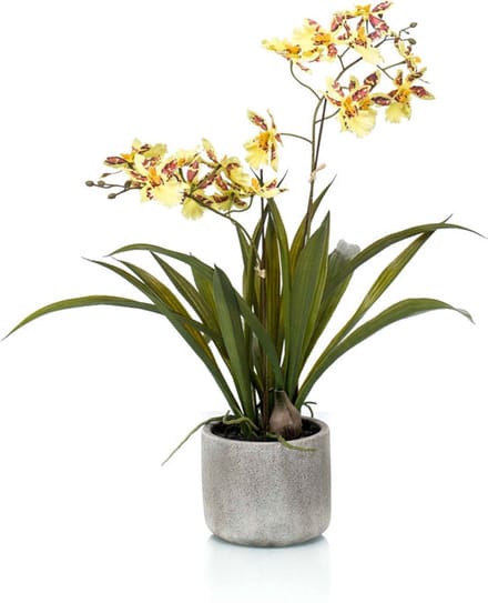 Emerald - Kunstplant in pot Oncidium geel 45cm - Kunstplant voor binnen