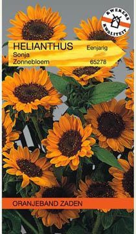 Oranjebandzaden -  Helianthus, Zonnebloem Sonja