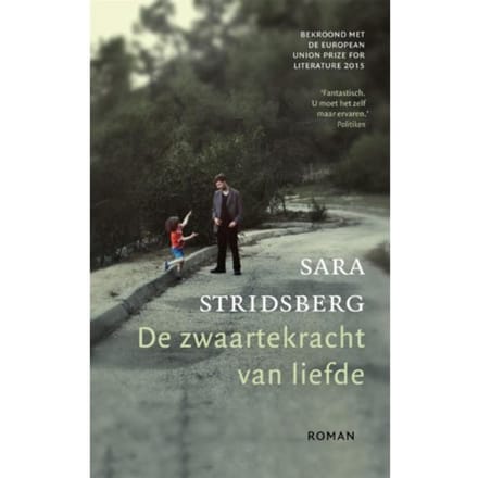 De Zwaartekracht Van Liefde - Sara Stridsberg
