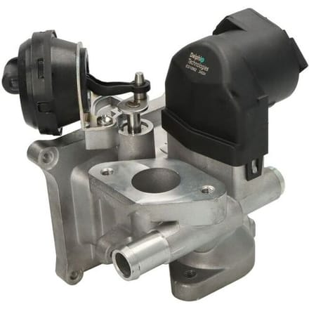 EGR-klep DELPHI EG10562-12B1
