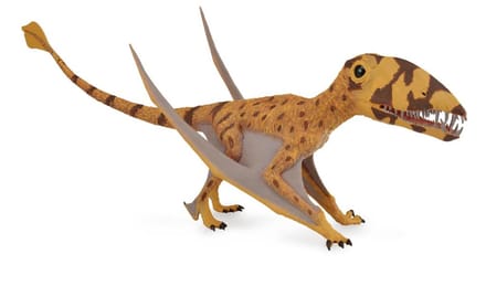 COLLECTA Figurine - Dimorphodon - 1:40 - Prehistorie - Handgeschilderd - Miniatuur
